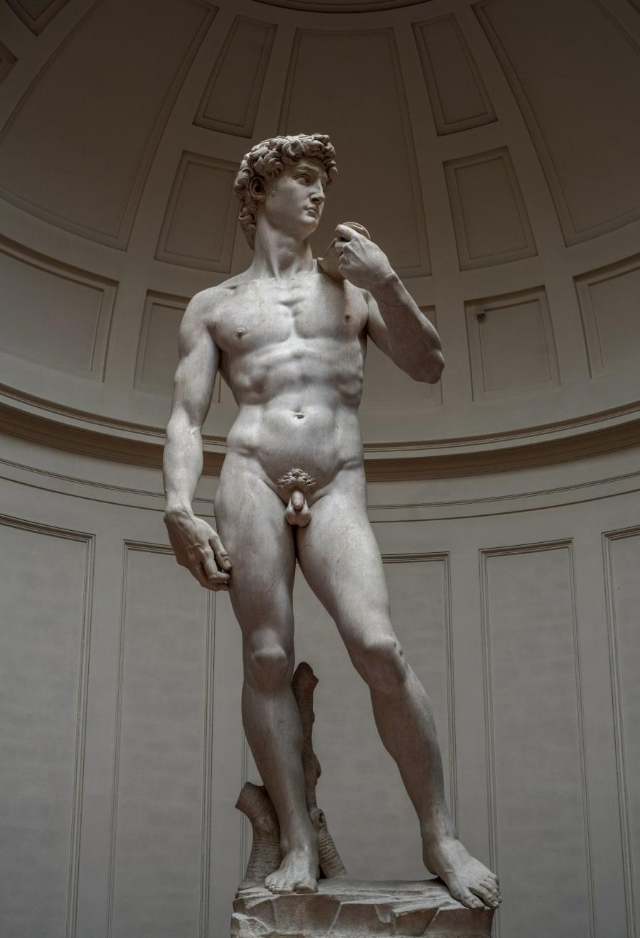 Michelangelo's David